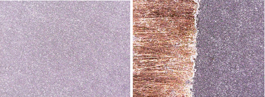 MODENGY™ 2560 coating structure, and the transition zone at x500 magnification