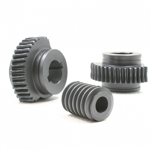 Reducer worm gears