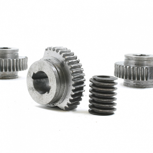 Reducer worm gears
