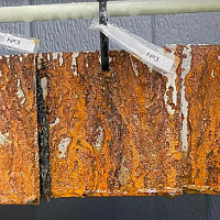 Detecting corrosion resistance of the steel samples treated with various type conservation agents